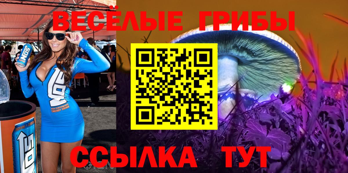 Псилоцибиновые грибы мухоморы  Вход с VPN  Гулькевичи 
